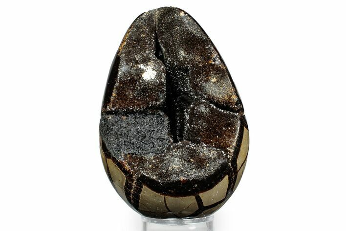 Bargain, Septarian Dragon Egg Geode - Sparkly Black Crystals #348452